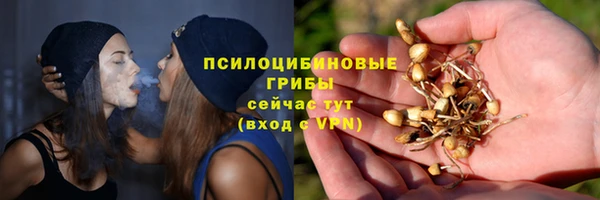 spice Гусиноозёрск