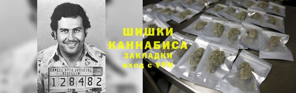 a pvp Гусь-Хрустальный
