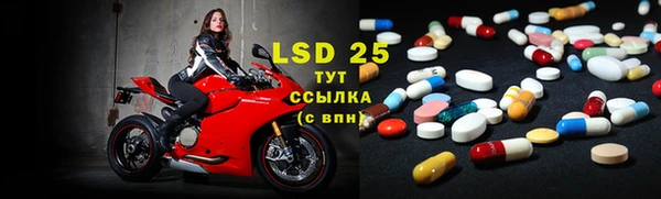 spice Гусиноозёрск