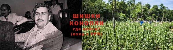 эйфоретик Гусев
