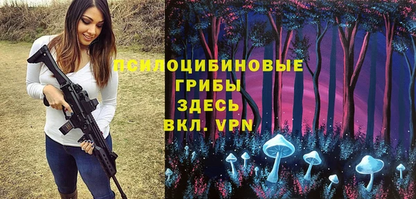 spice Гусиноозёрск