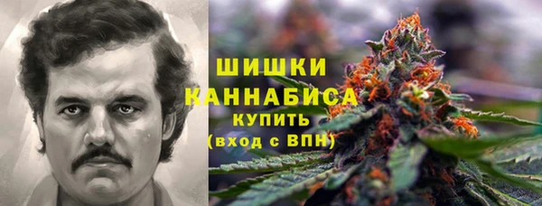 эйфоретик Гусев