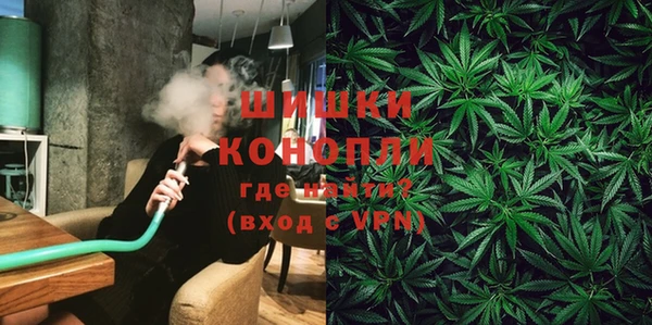 эйфоретик Гусев